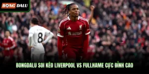 Bongdalu Soi Kèo Liverpool Vs Fullhame Cực Đỉnh Cao