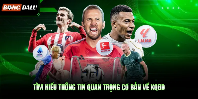 Tìm hiểu thông tin quan trọng cơ bản về KQBD